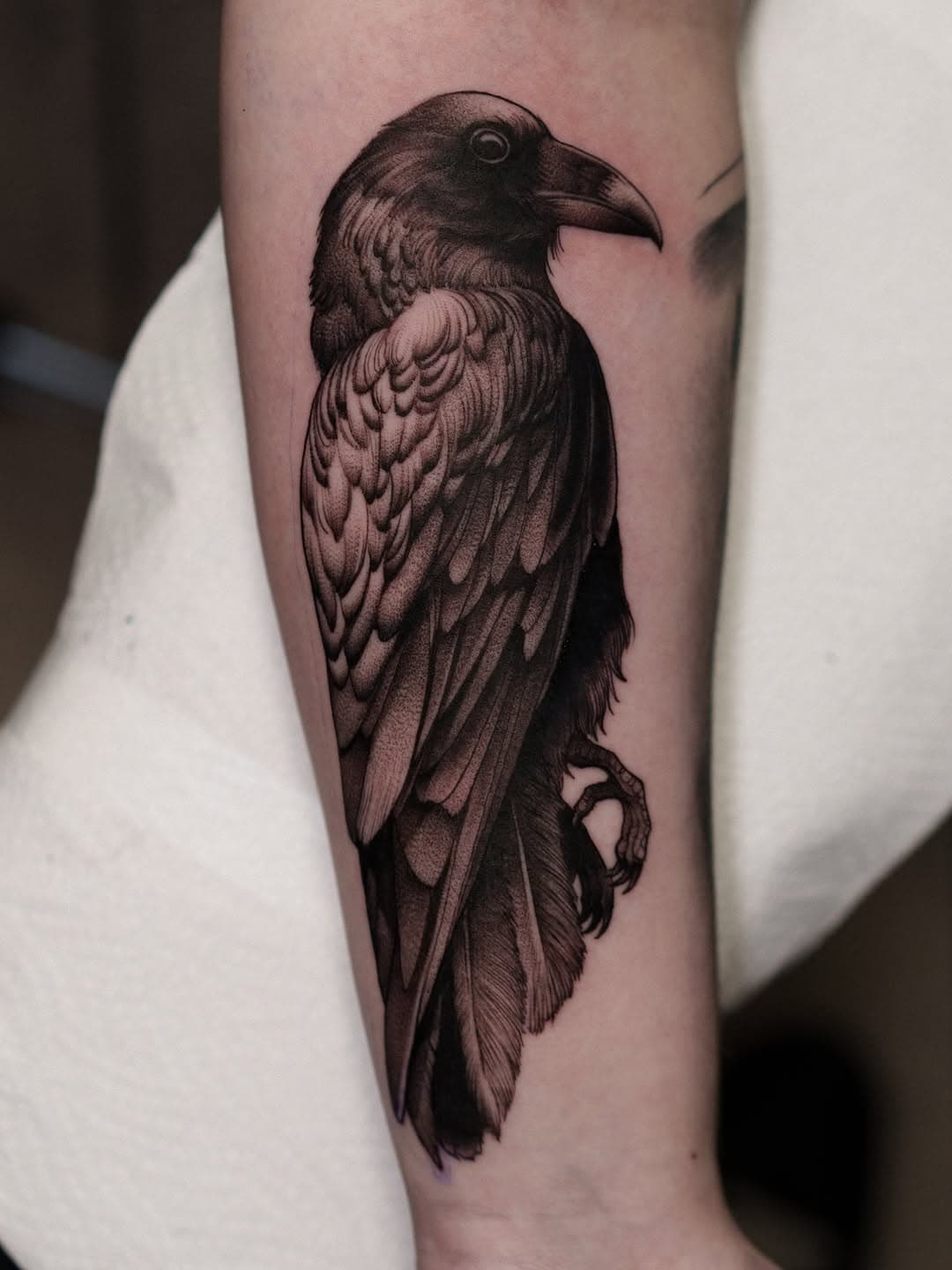 Realistic black and grey raven tattoo on forearm with detailed feather work and shading in illustrative dotwork style