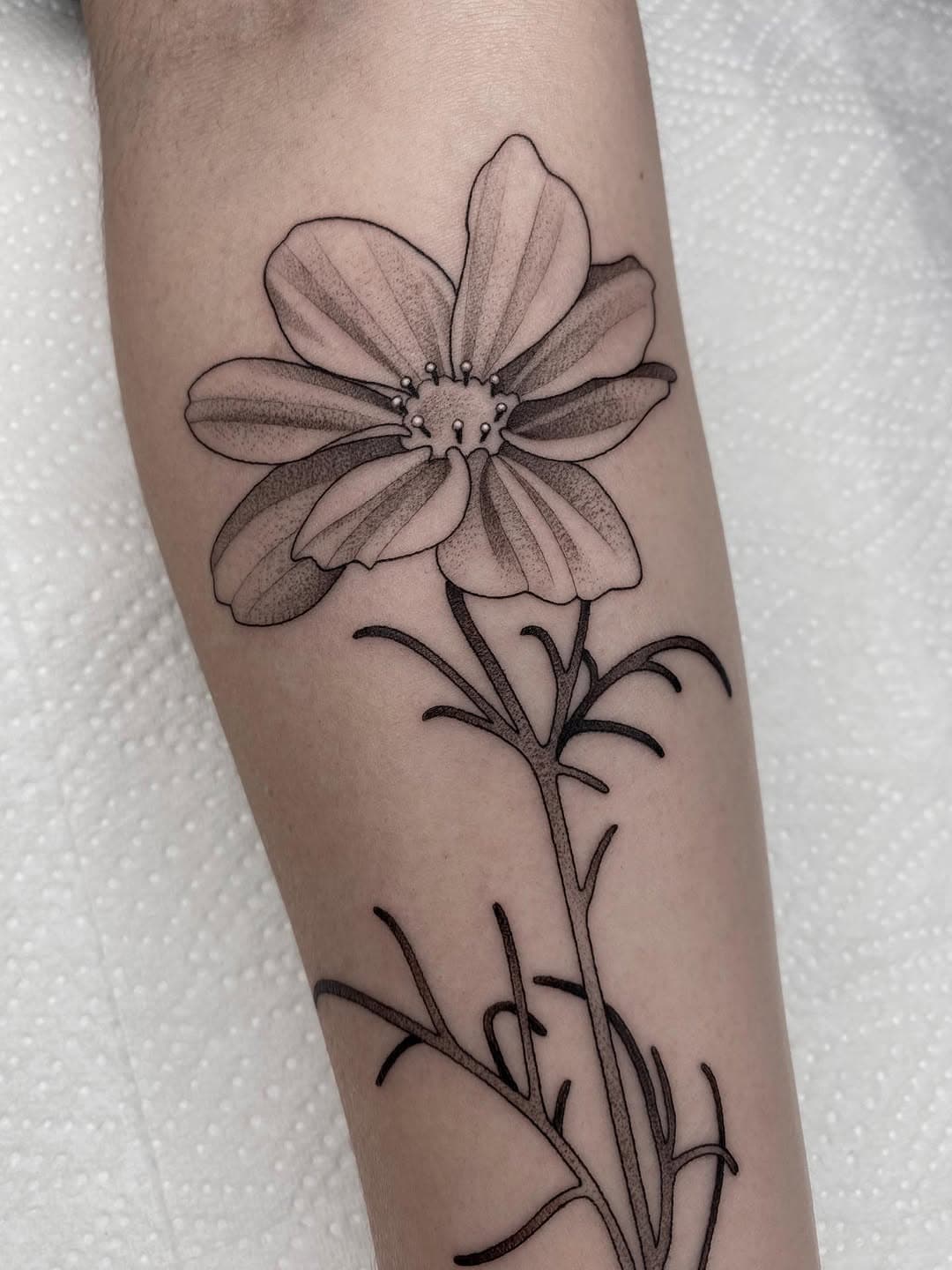 Tattoo by Ｊａｄｅ  Ｈａｒｒｉｓｏｎ