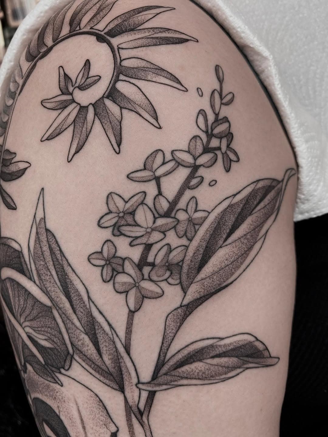 Tattoo by Ｊａｄｅ  Ｈａｒｒｉｓｏｎ