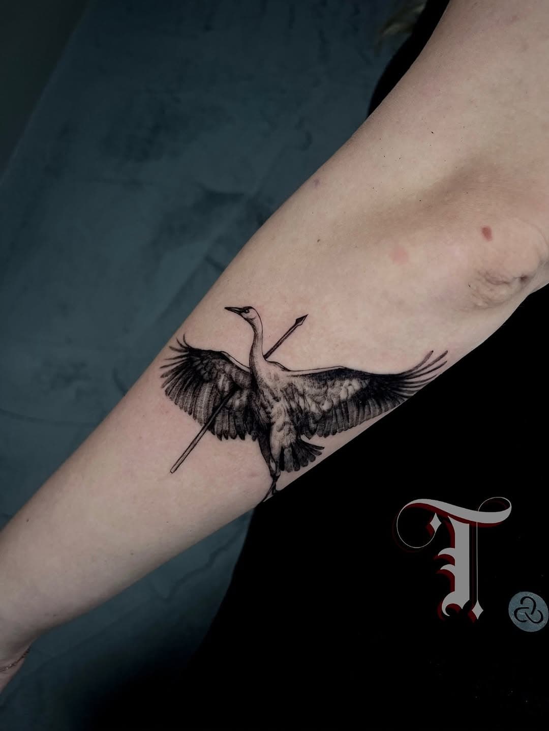 Tattoo by 𝕿𝖗𝖎𝖘𝖙𝖆𝖓 𝕭𝖊𝖆𝖑