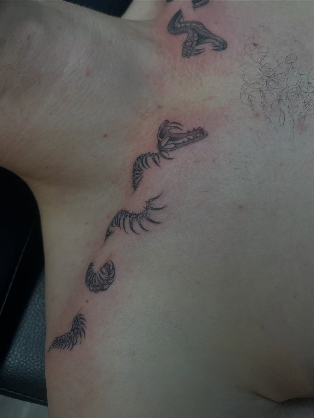 Black and grey illustrative tattoos of feathers arranged vertically down a person's ribcage in delicate detail