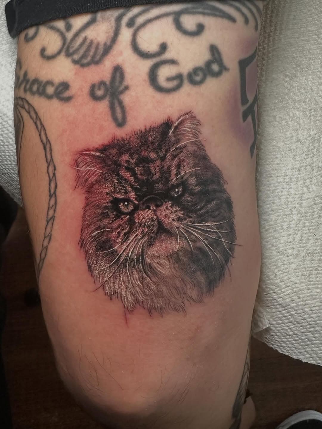 Realistic black and grey Persian cat portrait tattoo on thigh, with decorative script text reading "By the Grace of God" above