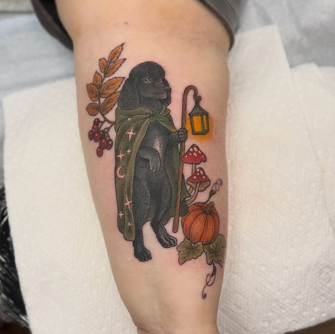 Black poodle in mystical cloak holding lantern staff, surrounded by autumn leaves, mushrooms, berries and pumpkin in illustrative style