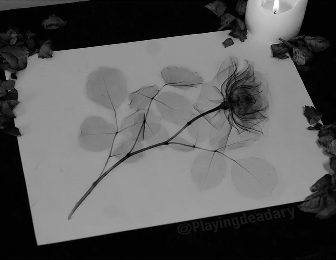 Tattoo by 조 퓨리 (Joe Fury)