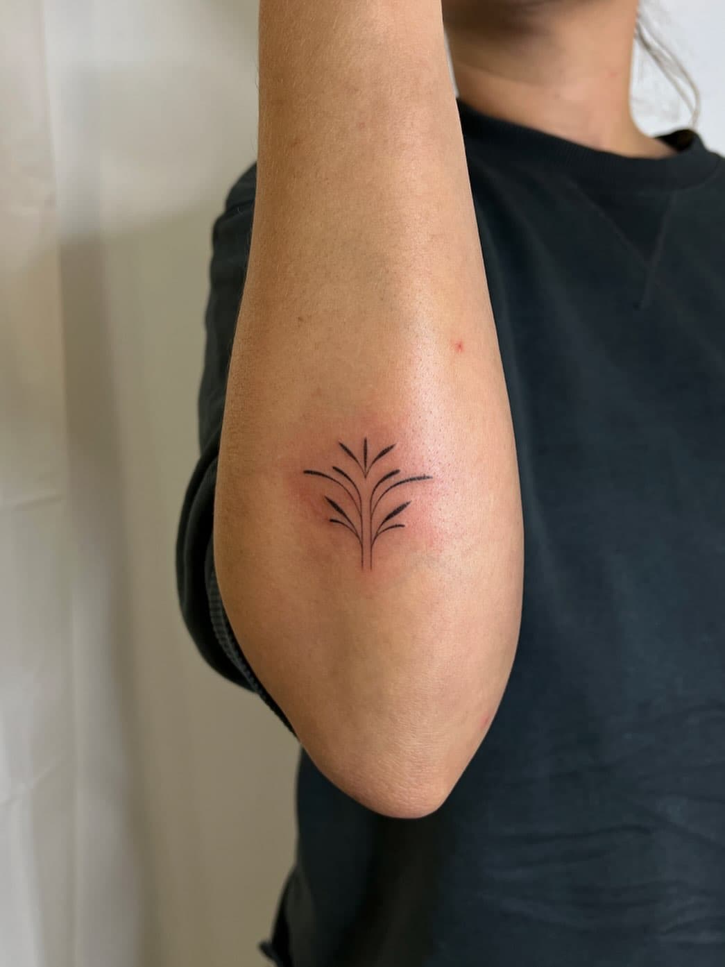 Minimalist fine-line tattoo of a delicate botanical branch or leaf design on the inner forearm