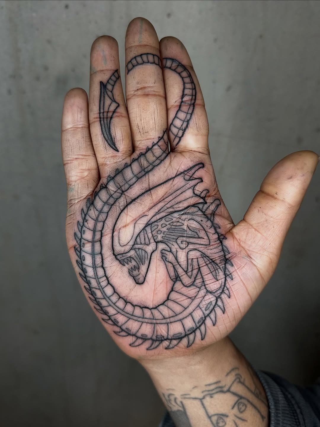 Black line tattoo of a skeletal dinosaur fossil spanning across an open palm, drawn in fine-line illustrative style