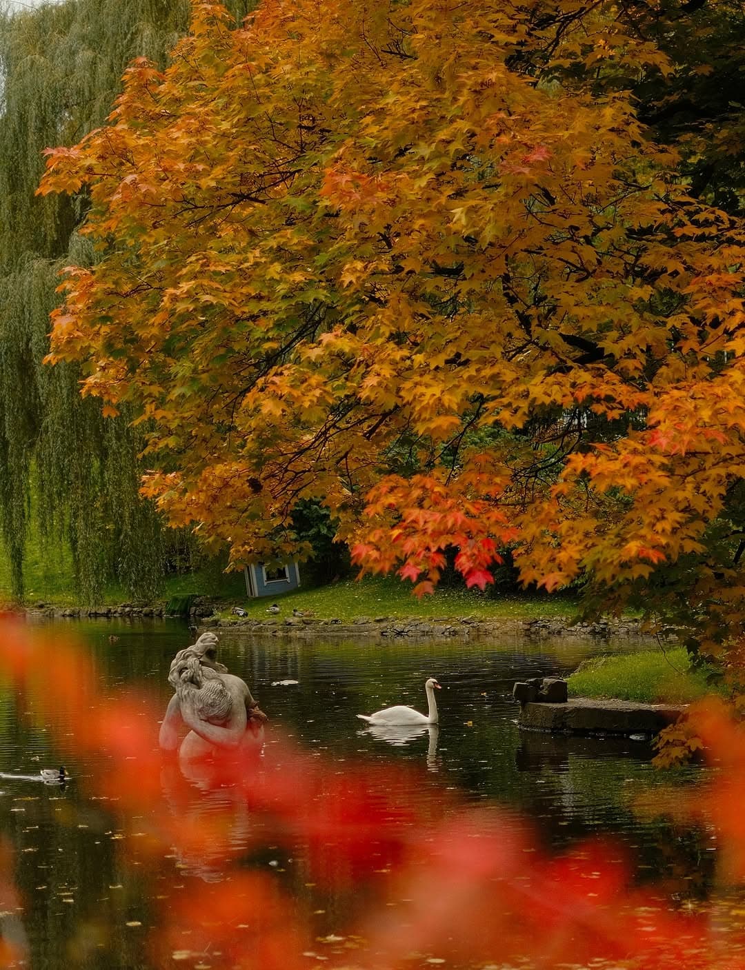 Tattoo by sashaunisex