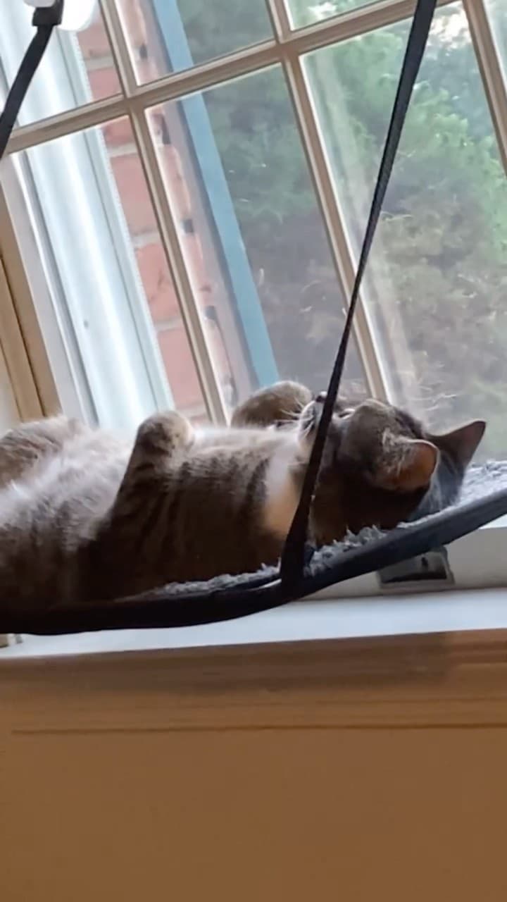 Tattoo by Walt Zambrana